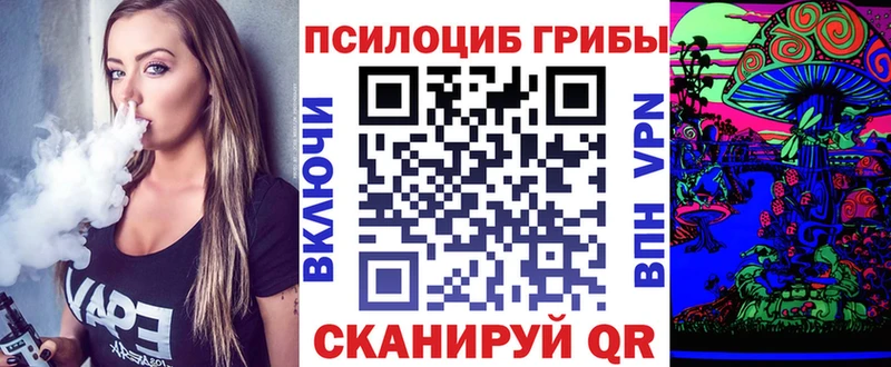 мега маркетплейс  Строитель  Галлюциногенные грибы мухоморы  сколько стоит 