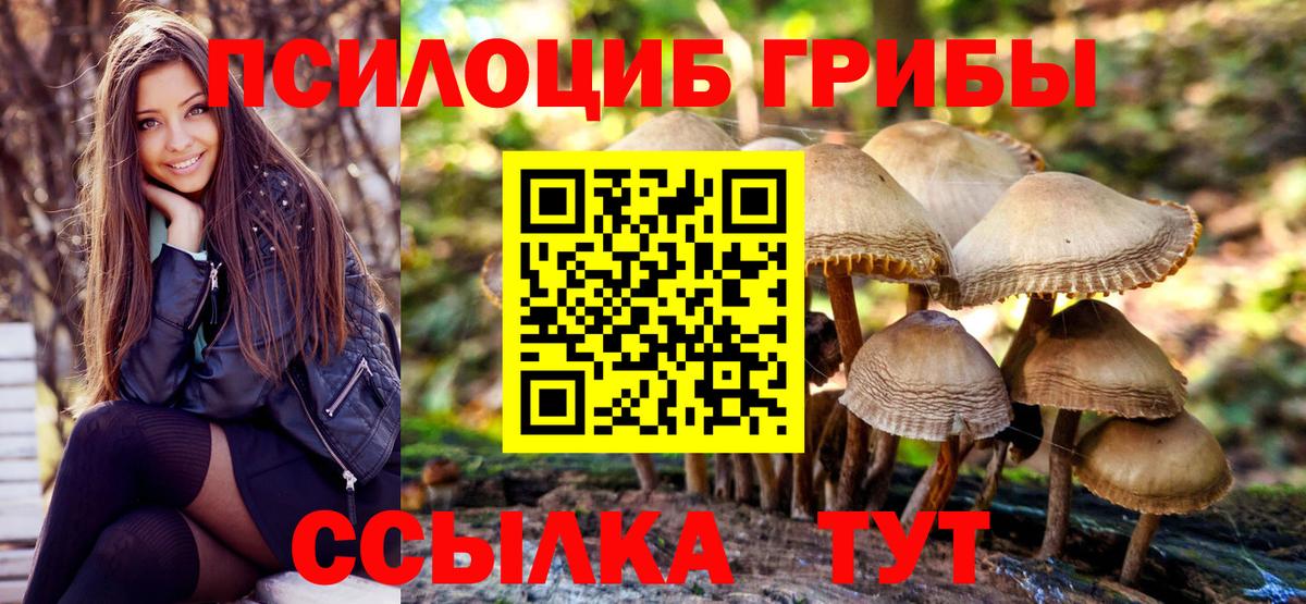 Галлюциногенные грибы мухоморы  Вход с VPN  Строитель 